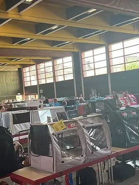 Cat show