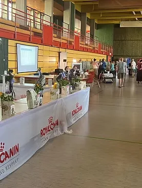 Cat show